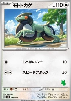 Pokémon-Karte Cyclizar 048/000