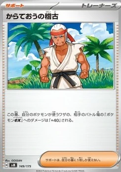 Pokémon-Karte Black Belt's Training 149/000