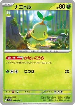 Pokémon-Karte Turtwig 003/071