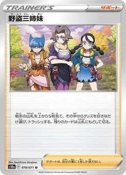 Pokémon-Karte Miss Fortune Sisters 070/071