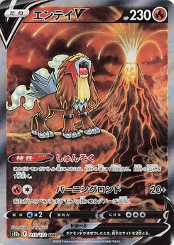 Pokémon-Karte Entei V 213/172