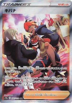 Pokémon-Karte Raihan 237/172