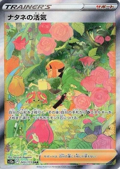 Pokémon-Karte Gardenia's Vigor 243/172