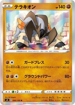 Pokémon-Karte Terrakion 060/100