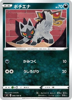 Pokémon-Karte Poochyena 066/100