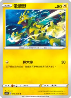 Pokémon-Karte Electabuzz 015/070