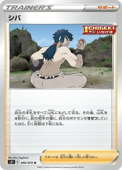 Pokémon-Karte Bruno 066/070