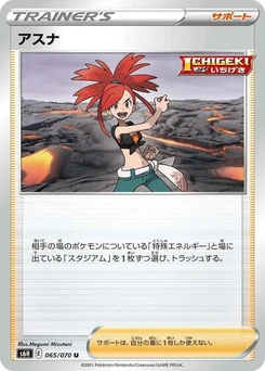 Pokémon-Karte Flannery 065/070