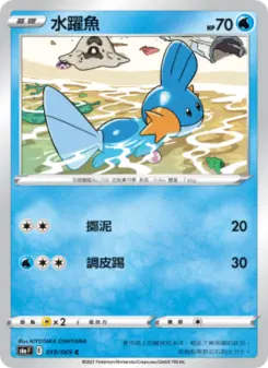 Pokémon-Karte Mudkip 019/069