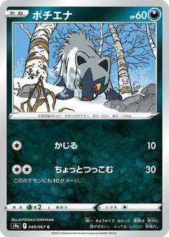 Pokémon-Karte Poochyena 049/067