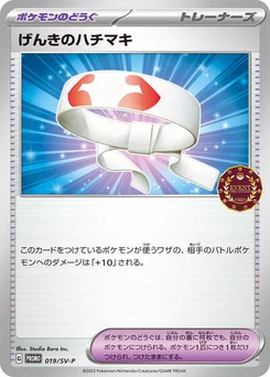 Pokémon-Karte Vitality Band 019/000
