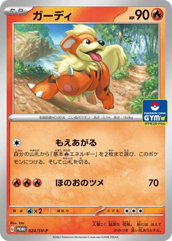 Pokémon-Karte Growlithe 024/000