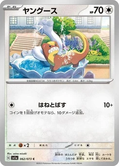 Pokémon-Karte Yungoos 062/073