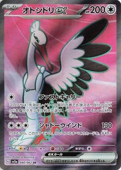 Pokémon-Karte Bombirdier ex 080/062