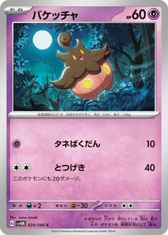Pokémon-Karte Pumpkaboo 029/066
