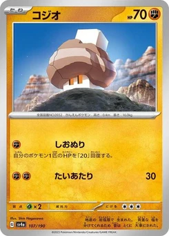 Pokémon-Karte Nacli 107/190