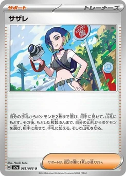 Pokémon-Karte Perrin 063/066