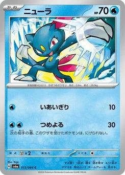 Pokémon-Karte Sneasel 013/064