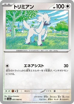 Pokémon-Karte Furfrou 051/064