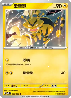 Pokémon-Karte Electabuzz 028/102