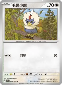 Pokémon-Karte Rufflet 049/064