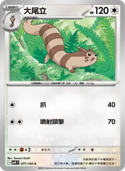 Pokémon-Karte Furret 077/100