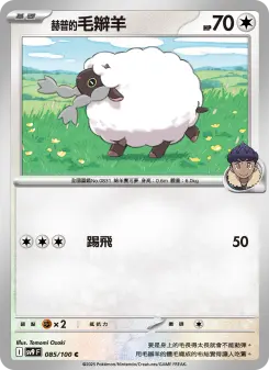 Pokémon-Karte Hop's Wooloo 085/100