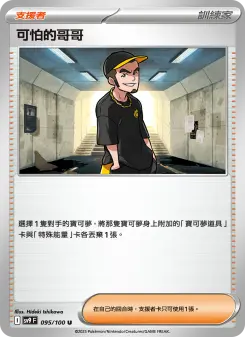 Pokémon-Karte Ruffian 095/100